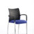 Bespoke Stevia Blue
