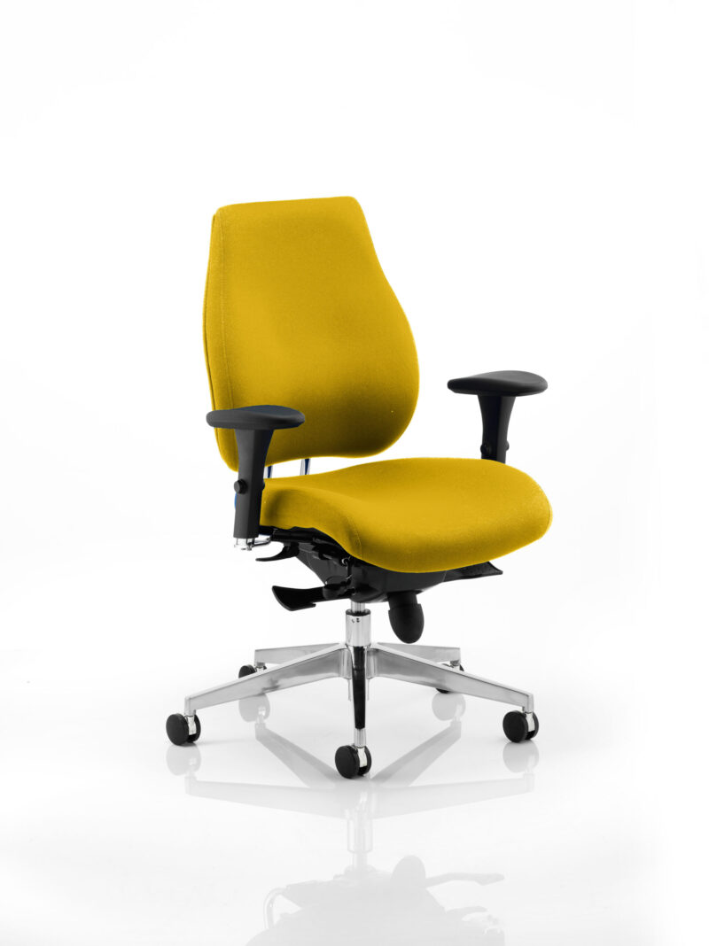 Chiro Plus High Back Ergonomic Posture Chair with Arms - Image 25
