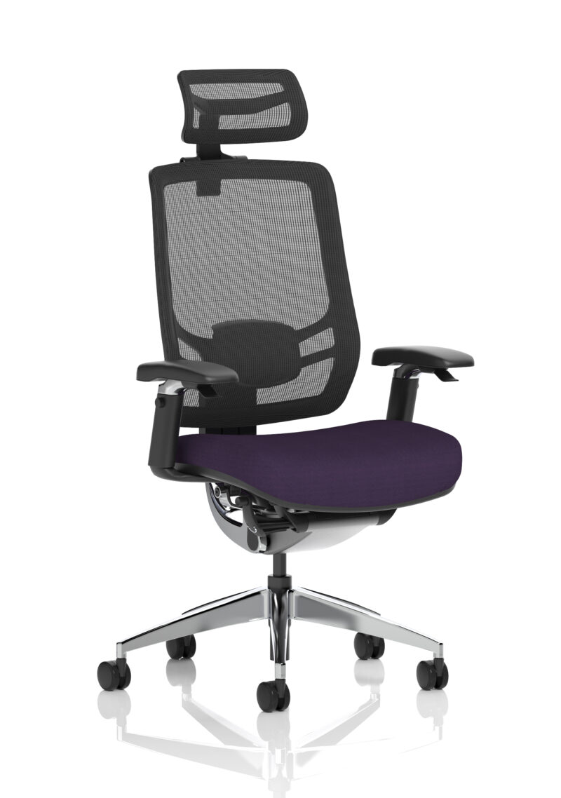 Ergo Click High Back Ergonomic Posture Office Chair with Arms - Image 54