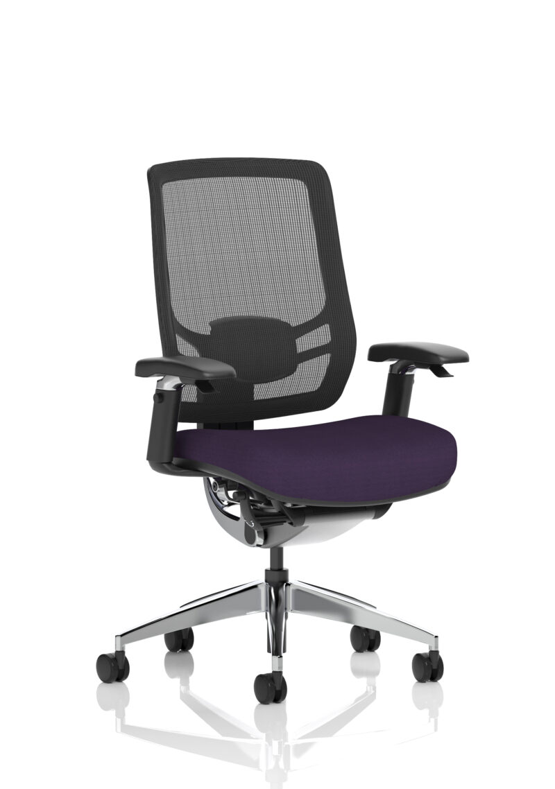 Ergo Click High Back Ergonomic Posture Office Chair with Arms - Image 56