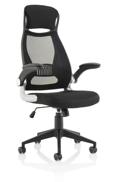 OE - Saturn Executive Chair With Folding Arms